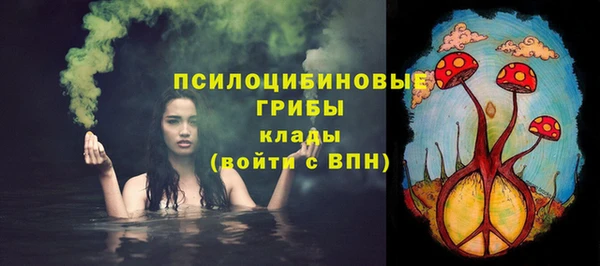 спайс Богородск