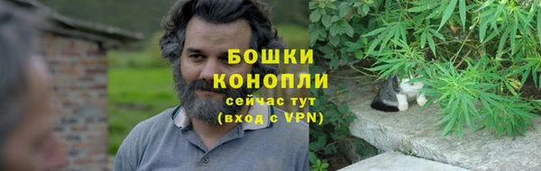 спайс Богородск