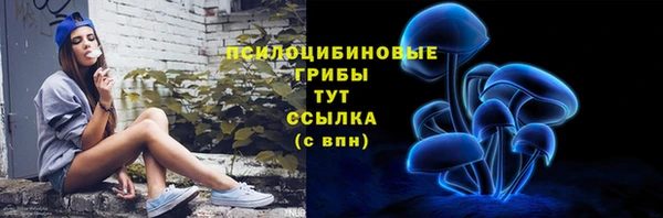 спайс Богородск